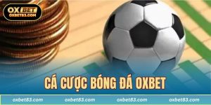 Cá cược bóng đá OXBET