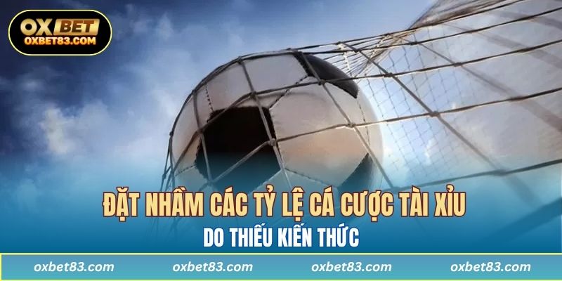 Các nguy cơ khi đặt nhầm các tỷ lệ cá cược tài xỉu do thiếu kiến thức 