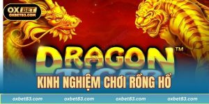 Kinh nghiệm chơi Rồng hổ